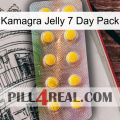 Kamagra Jelly 7 Day Pack new11